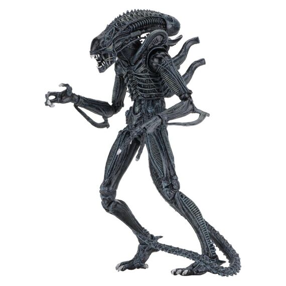 Aliens Ultimate Action Figure Warrior (1986) Blue 23 cm