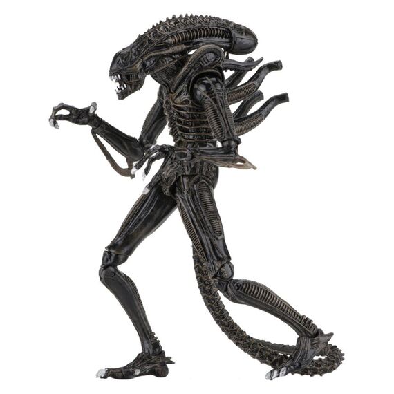 Aliens Ultimate Action Figure Warrior (1986) Brown 23 cm
