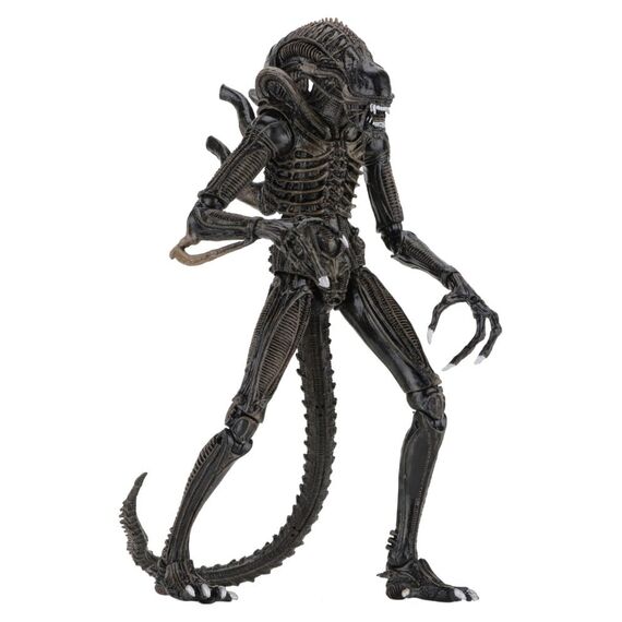 Aliens Ultimate Action Figure Warrior (1986) Brown 23 cm