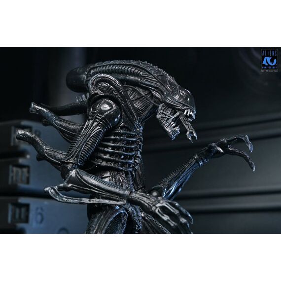 Aliens Ultimate Action Figure Warrior (1986) Xenomorph Black (40th Anniversary) 23 cm