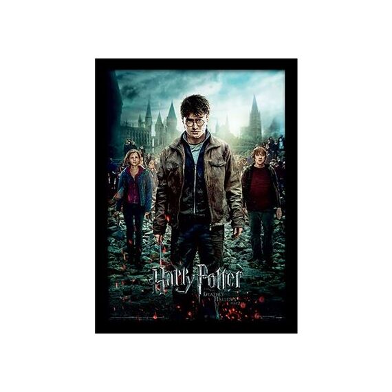 HARRY POTTER - Deathly Hollows Part 2 - Collector Print 30x40cm