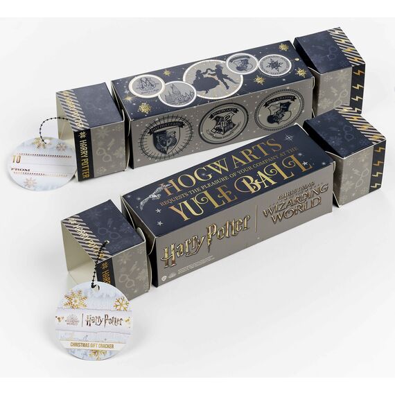 HARRY POTTER - Gift Craker  - Glasses Necklace & Earings