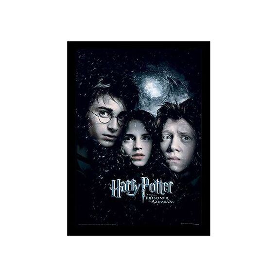 HARRY POTTER - Prisoner of Azkaban - Collector Print 30x40cm