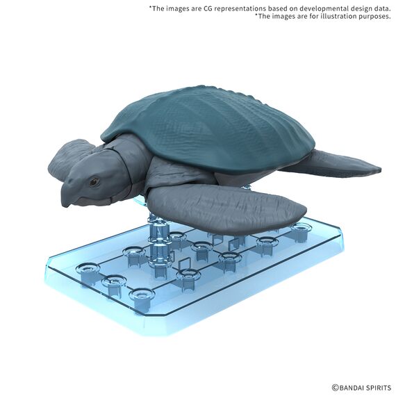 PLANNOSAURUS - Archelon - Model Kit