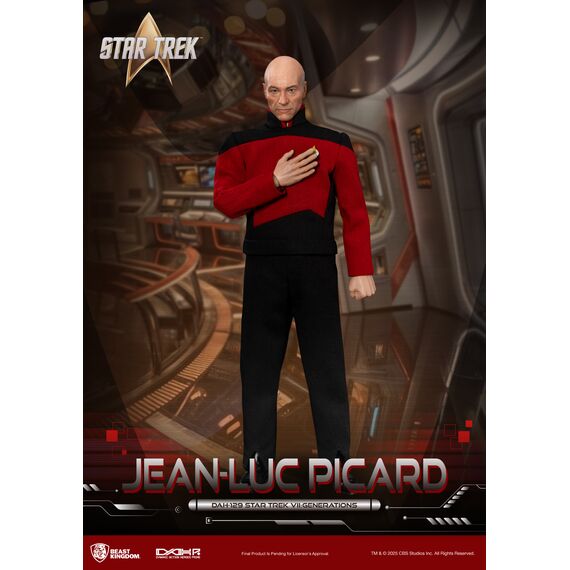 STAR TREK GENERATIONS - Jen-Luc Picard - Figure 20.5cm