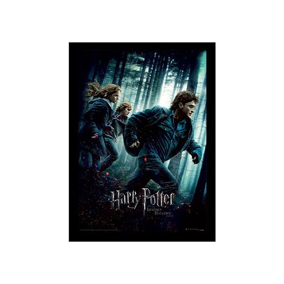 HARRY POTTER - Deathly Hollows Part 1 - Collector Print 30x40cm