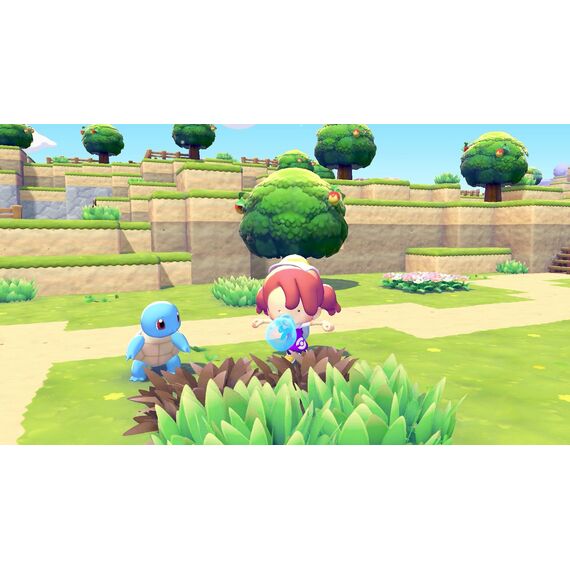 Pokemon Pokopia / Nintendo Switch 2