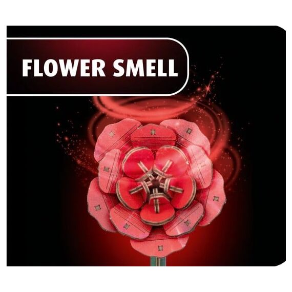 WOODEN FLOWER - Dream of Roses - 326pc