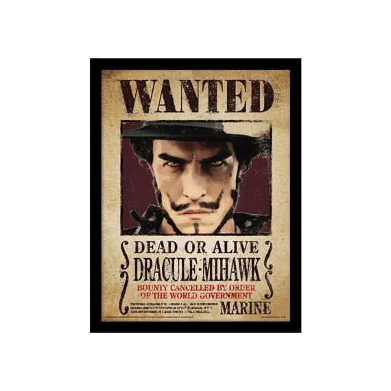 ONE PIECE LIVE ACTION - Dracule Mihawk - Collector Print 30x40cm