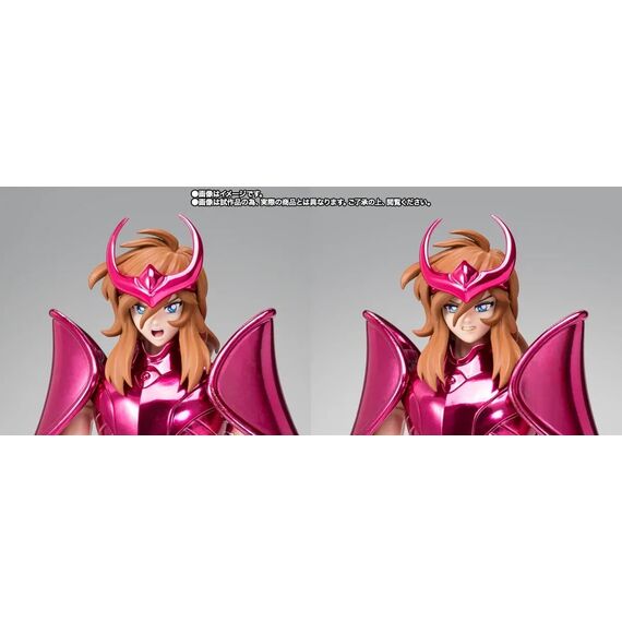 SAINT SEIYA - Shun Final Bronze Oce - Fig. Saint Cloth Myth Ex 17cm
