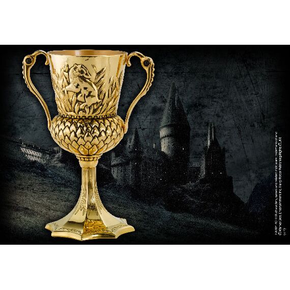 HARRY POTTER - The Hufflepuff Cup