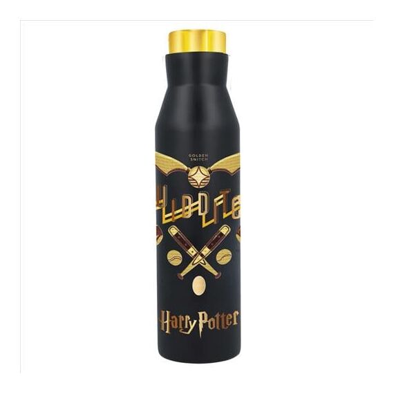 HARRY POTTER - Quidditch - Diabolo Stainless Steel Bottle - 580ml