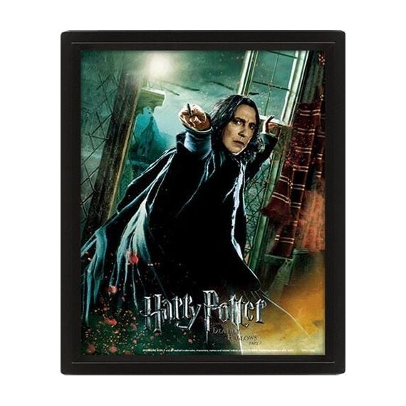HARRY POTTER - Deathly Hallows - 3D Lenticular Poster 26x20cm