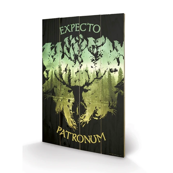 HARRY POTTER - Impression sur Bois 40X59 - Expecto Patronum