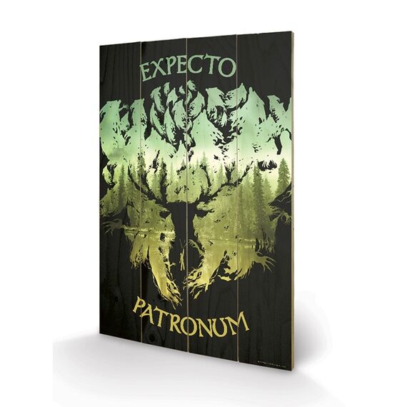 HARRY POTTER - Impression sur Bois 40X59 - Expecto Patronum