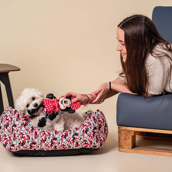MINNIE - Dog basket - 35x50x15 CM