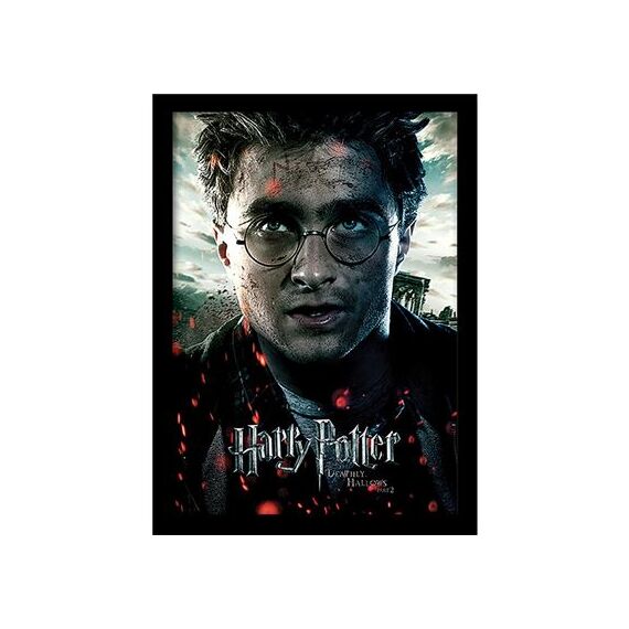 HARRY POTTER - Deathly Hollows Part 2 "Harry"- Collector Print 30x40cm