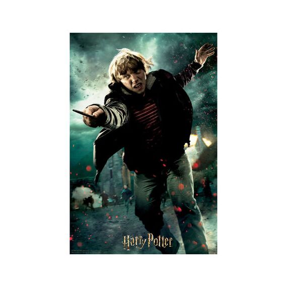 HARRY POTTER - Ron - Lenticular Puzzle 3D 300P '46x31cm'