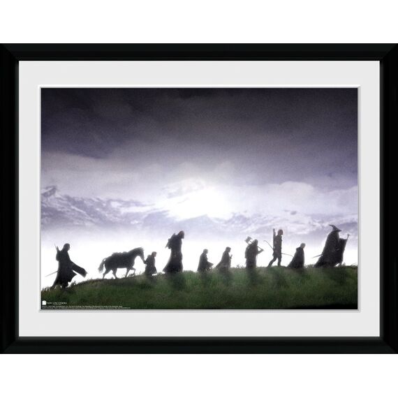 LORD OF THE RINGS - Collector Print 30X40 - Fellowship