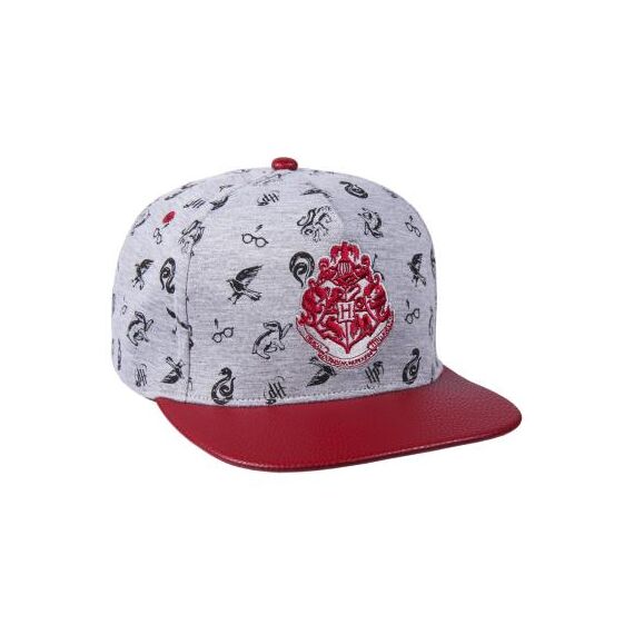 HARRY POTTER - Flat Cap