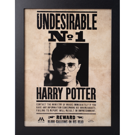 HARRY POTTER - Undesirable N°1 - Collector Print '30x40cm'