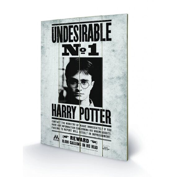 HARRY POTTER - Printing on wood 40X59 - Undesirable N° 1