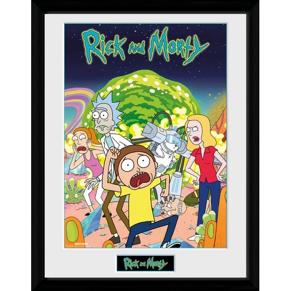RICK & MORTY - Collector Print 30X40 - Compilation