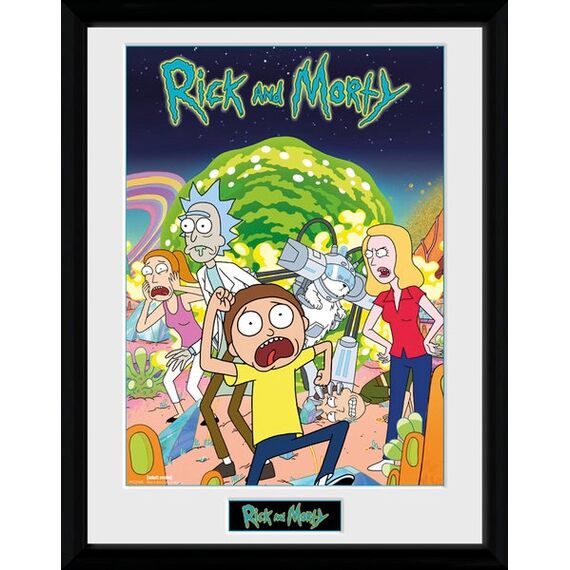 RICK & MORTY - Collector Print 30X40 - Compilation