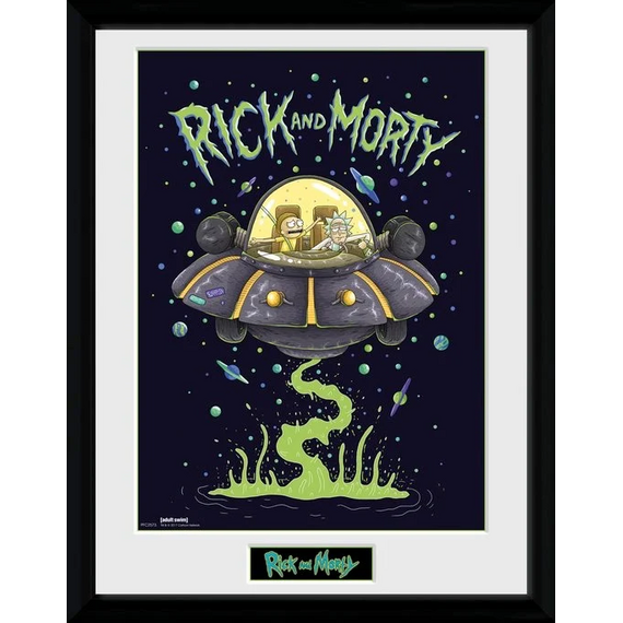 RICK & MORTY - Collector Print 30X40 - Ship