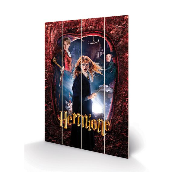HARRY POTTER - Wood Print 40x59cm - Hermione