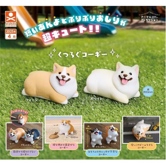 GASHAPON - Corgi (40 Capsule 58mm)