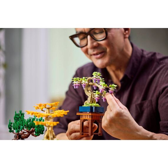 LEGO BOTANICALS 10373 Mini Bonsai Trees