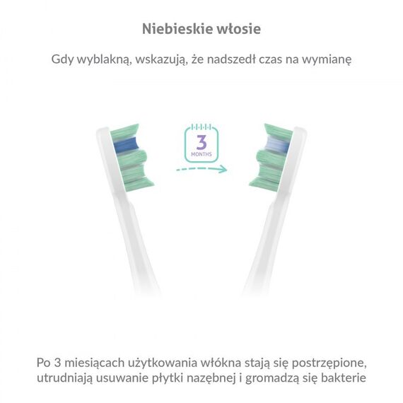 TrueLife SonicBrush Clean30 Duo Sonic Toothbrush
