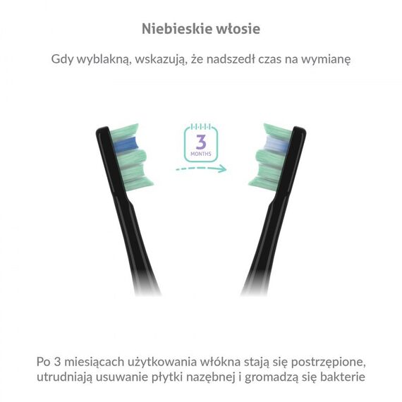 TrueLife SonicBrush Clean30 Black Adult Oscillating toothbrush