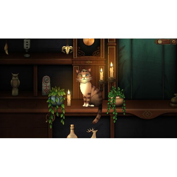 Strange Horticulture and Antiquities / Nintendo Switch