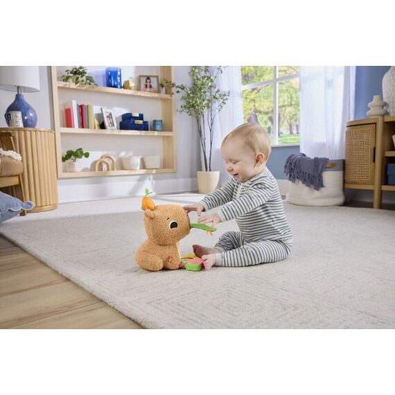 Fisher-Price - Snuggly Snacky Capy (HYR54) / Toys