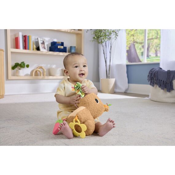 Fisher-Price - Snuggly Snacky Capy (HYR54) / Toys