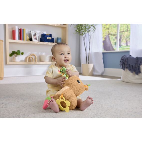 Fisher-Price - Snuggly Snacky Capy (HYR54) / Toys