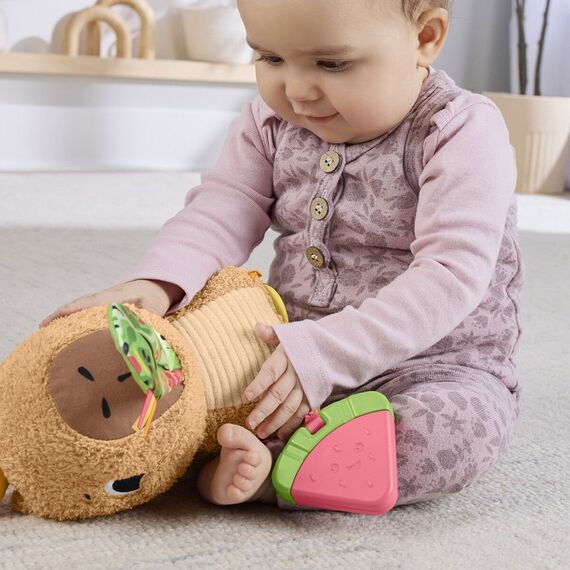 Fisher-Price - Snuggly Snacky Capy (HYR54) / Toys