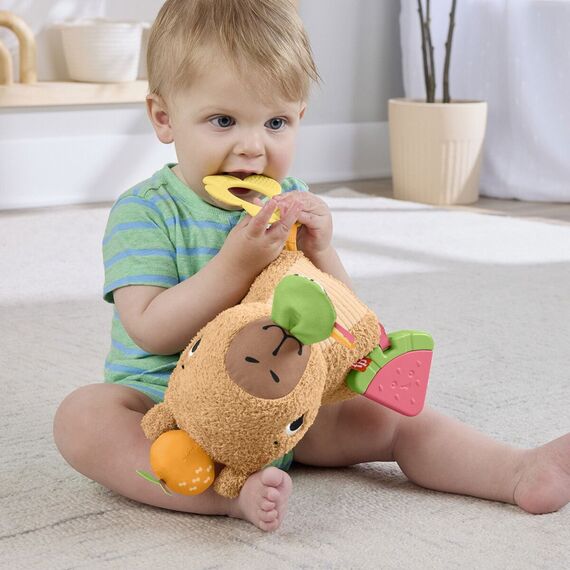 Fisher-Price - Snuggly Snacky Capy (HYR54) / Toys