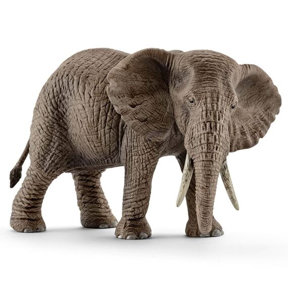 Schleich - African Elephant, Female (14761) / Toys