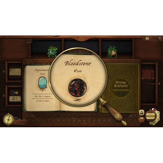 Strange Horticulture and Antiquities / Nintendo Switch