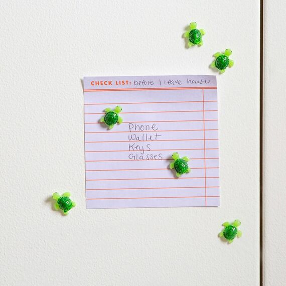 Kikkerland - Baby Turtle Magnets (MG97) / Toys