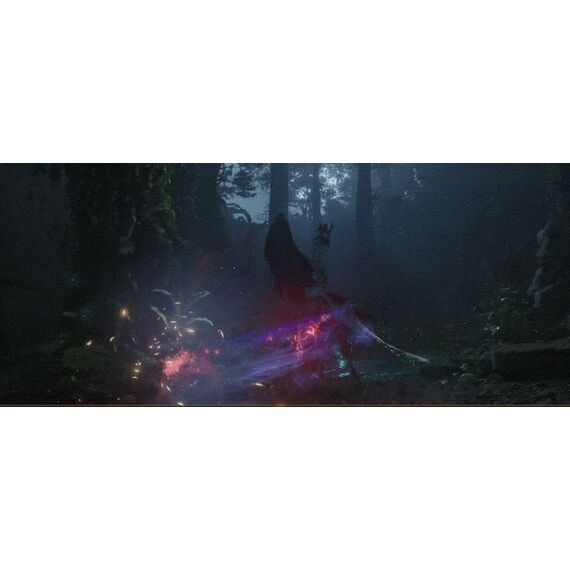 Wuchang: Fallen Feathers / PlayStation 5