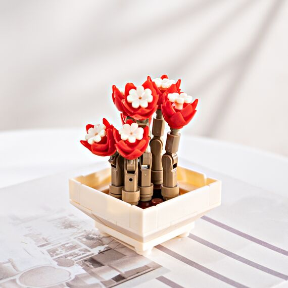 FOREVER FLOWERS - Bricks Succulent - Display 12pcs