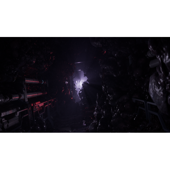 Directive 8020 / PlayStation 5