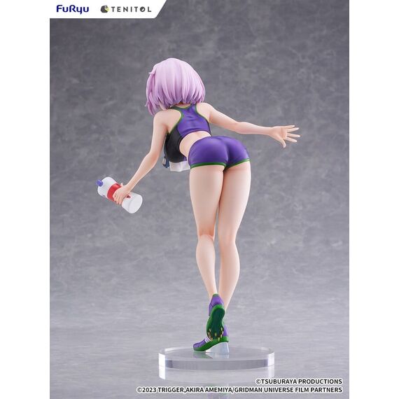 Gridman Universe Tenitol Tall PVC Figure Akane Shinjo Sportswear Ver. 28 cm