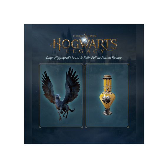 Hogwarts Legacy / PlayStation 5
