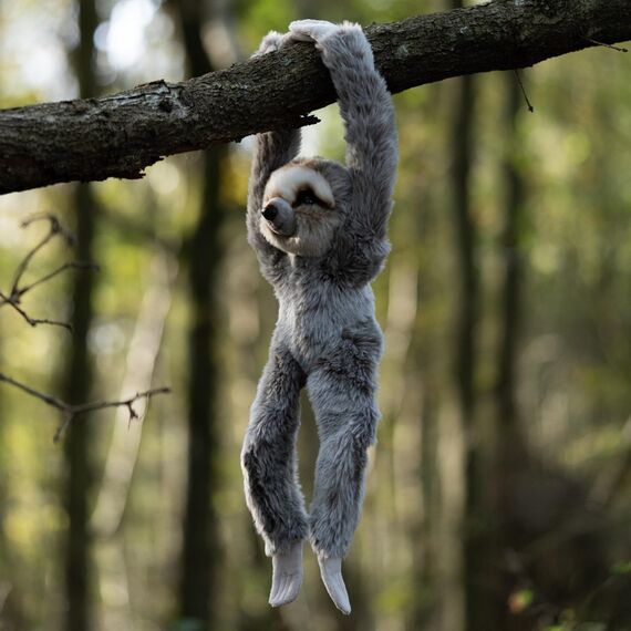 Animigos - Hanging Sloth (38472) / Toys