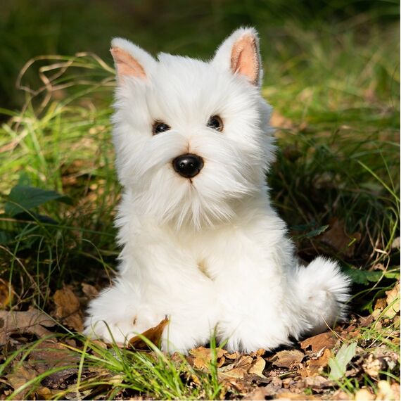 Animigos - World Of Nature Westie Dog (38475) / Toys